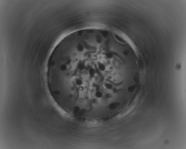 X0000101451099200807071359