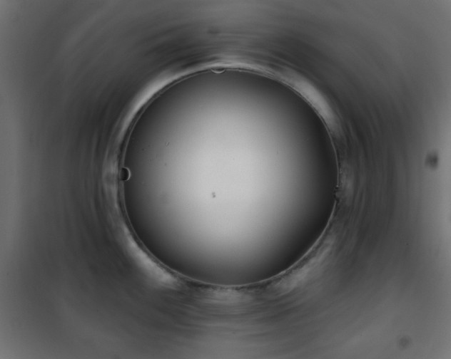 X0000101451100200807071359