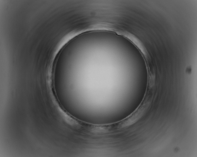 X0000101451101200807071359