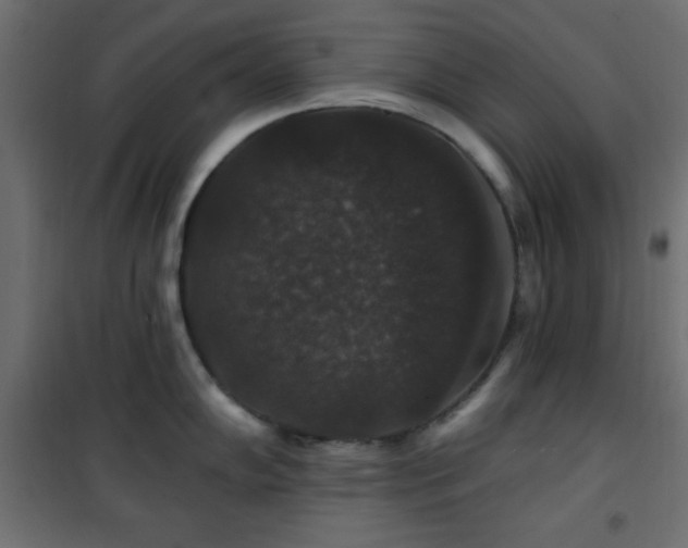 X0000101451102200807071359