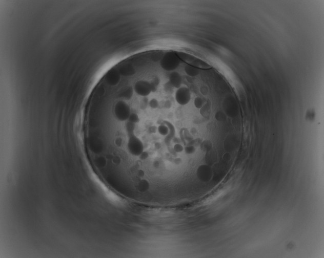 X0000101451103200807071359
