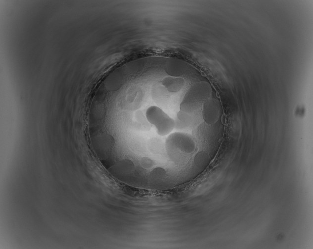 X0000101451105200807071358