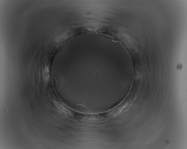 X0000101451106200807071358