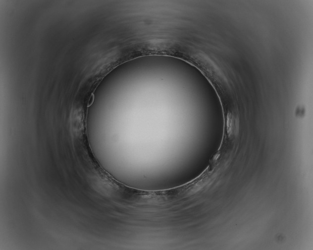 X0000101451107200807071358