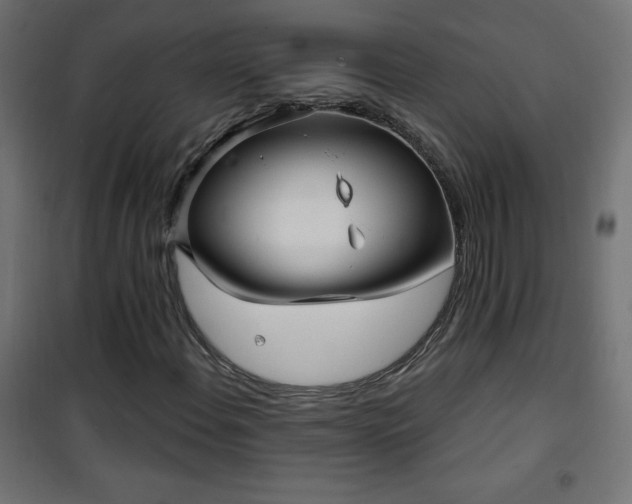 X0000101451108200807071358