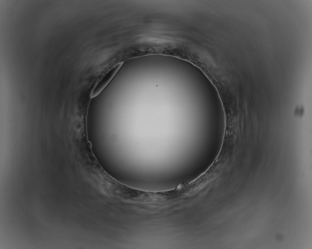 X0000101451109200807071358
