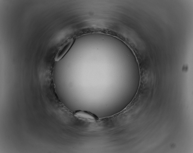 X0000101451110200807071359
