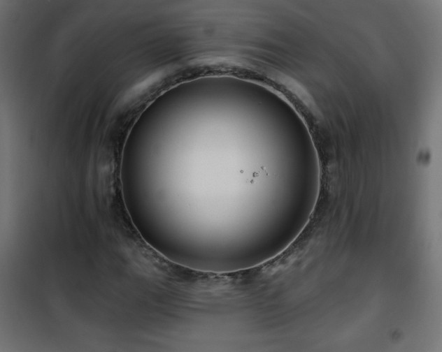 X0000101451111200807071359