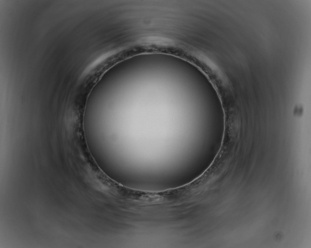 X0000101451112200807071359