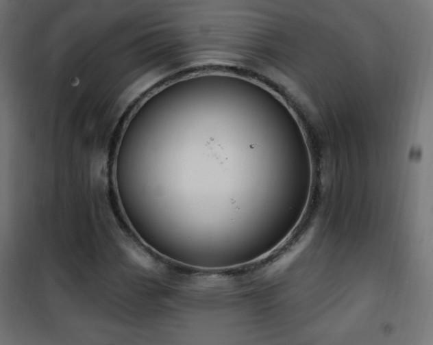 X0000101451113200807071359