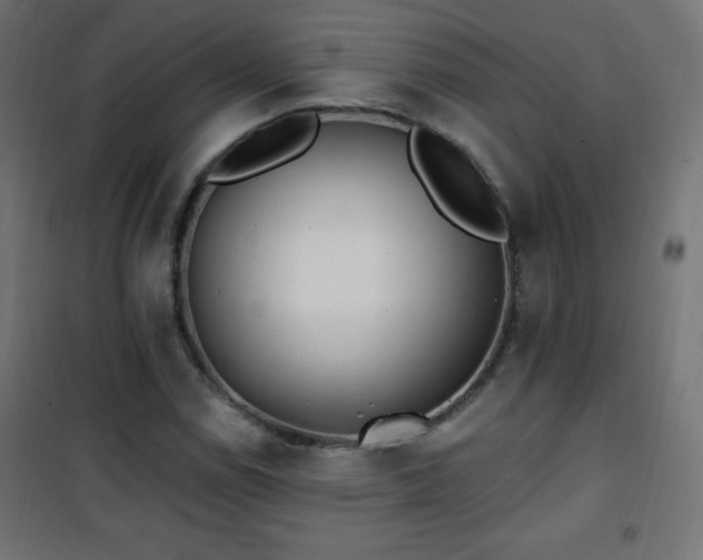 X0000101451114200807071359