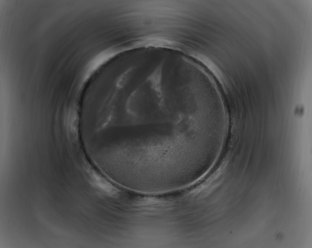 X0000101451115200807071359
