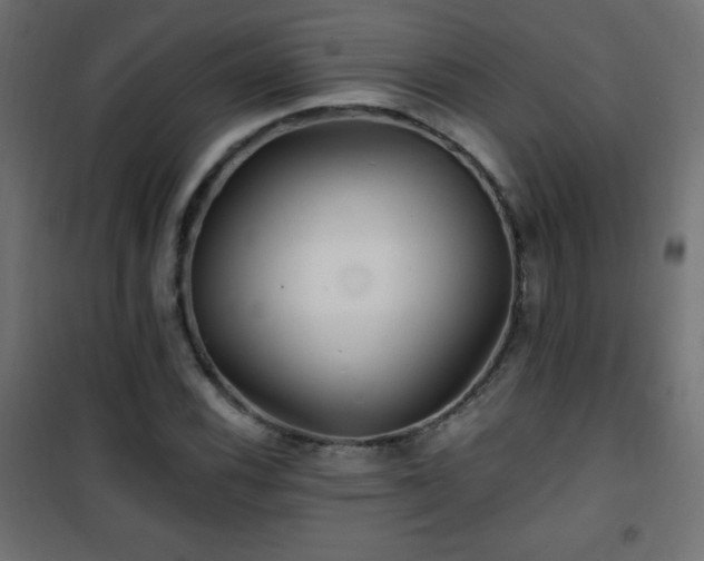X0000101451116200807071359