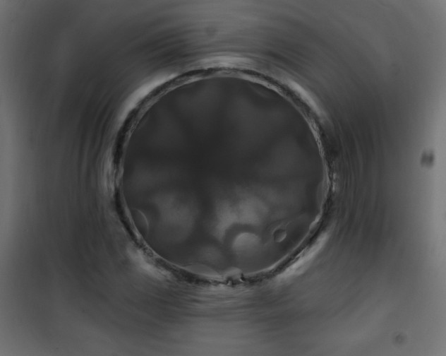X0000101451117200807071359