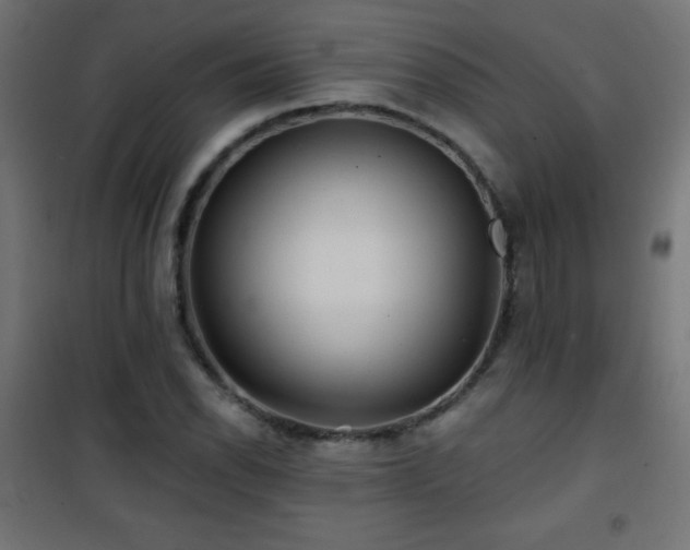 X0000101451118200807071359