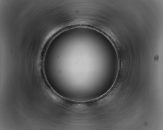 X0000101451119200807071359