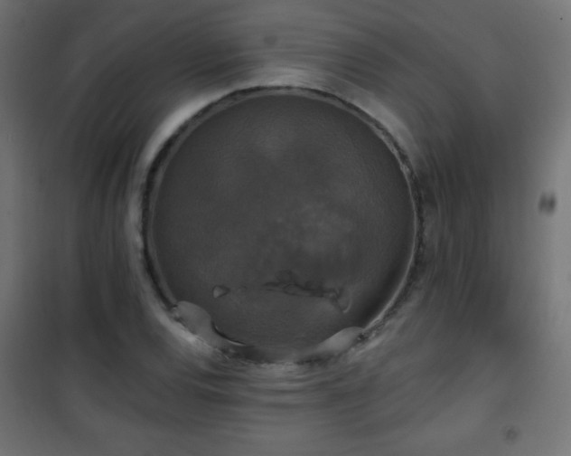 X0000101451120200807071359