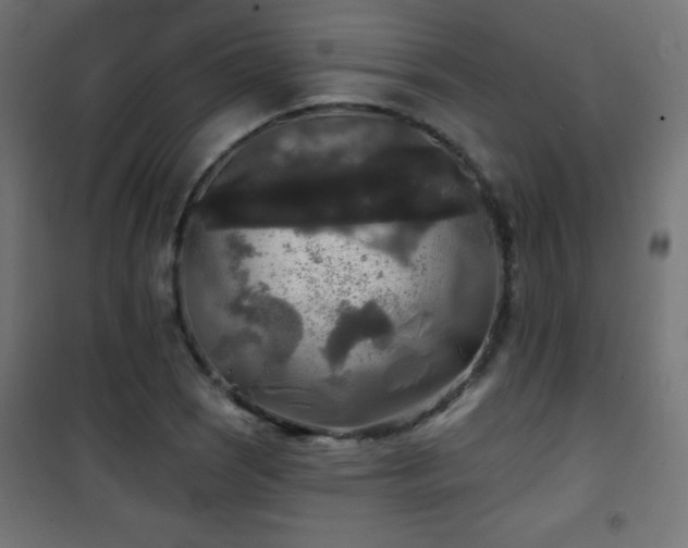 X0000101451121200807071359