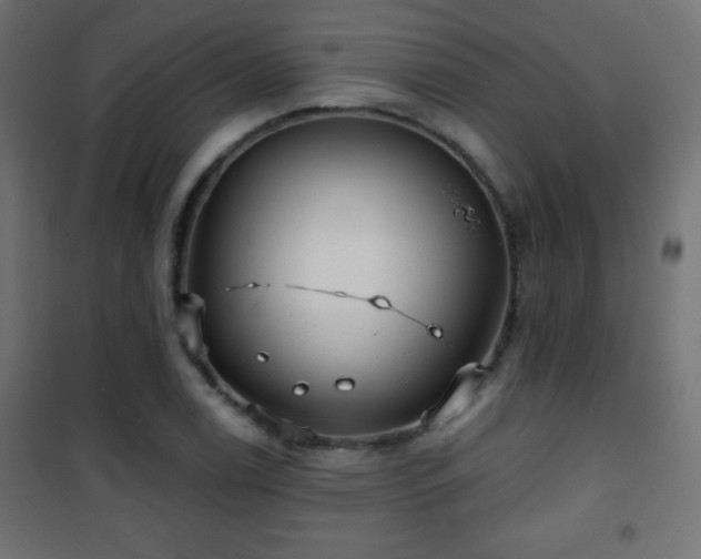 X0000101451122200807071359