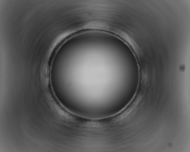 X0000101451123200807071359
