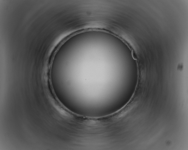 X0000101451124200807071359