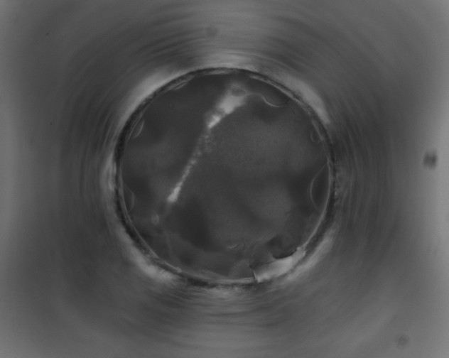 X0000101451125200807071359