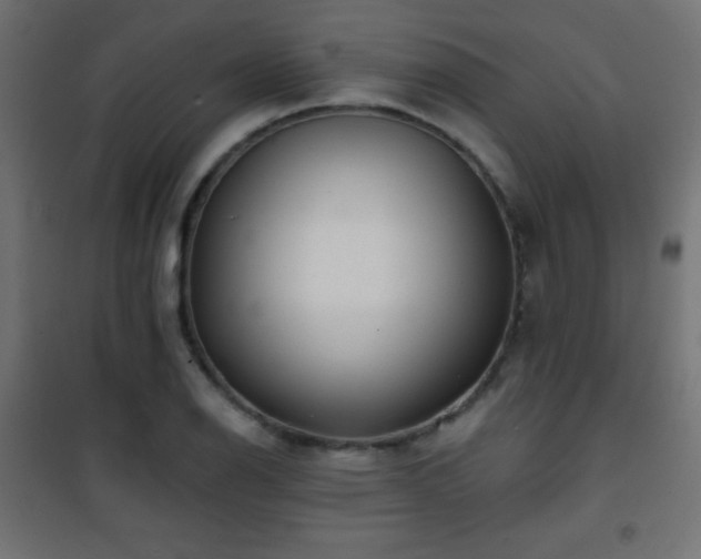 X0000101451126200807071359