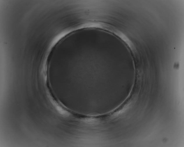 X0000101451127200807071359