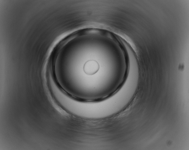 X0000101451128200807071359