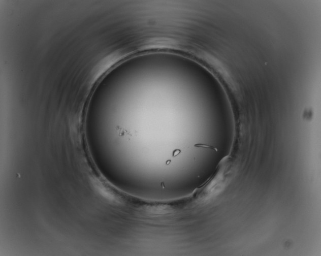 X0000101451129200807071359