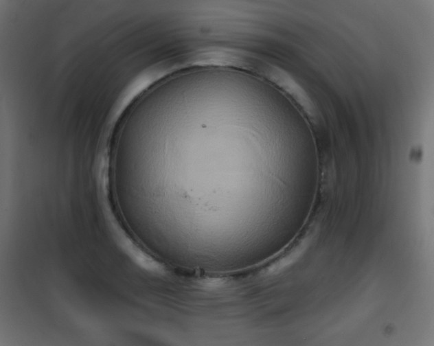 X0000101451130200807071359