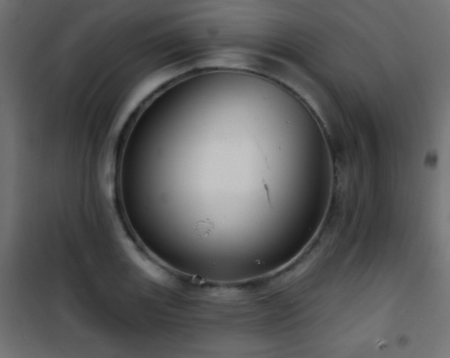 X0000101451131200807071359