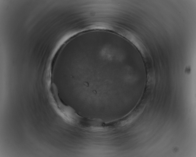 X0000101451132200807071359