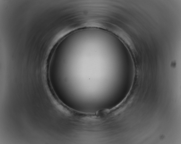 X0000101451133200807071359