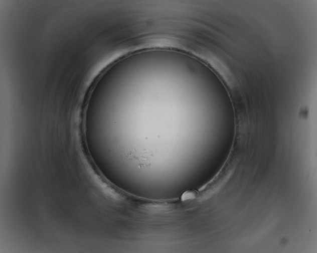 X0000101451134200807071359