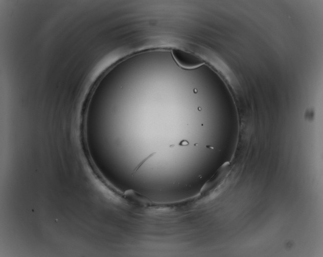 X0000101451135200807071359