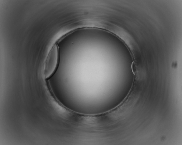X0000101451136200807071359