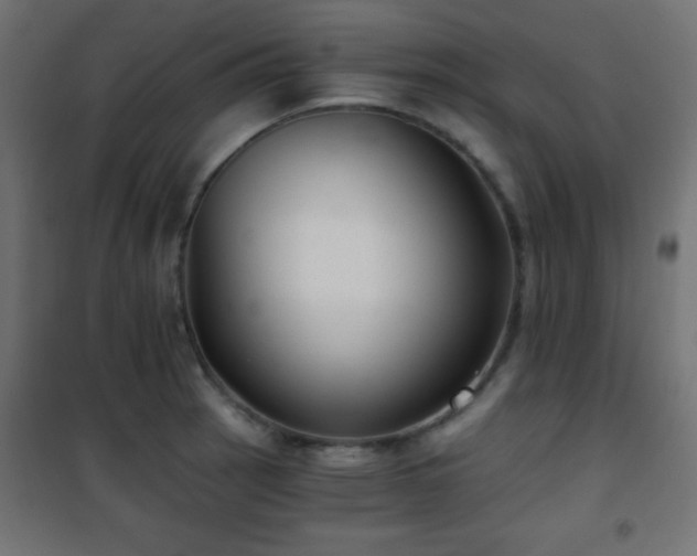 X0000101451137200807071359