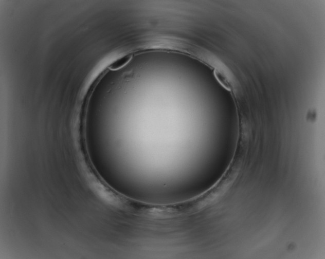 X0000101451138200807071359