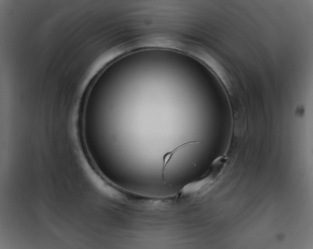 X0000101451139200807071359
