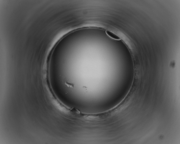 X0000101451140200807071359