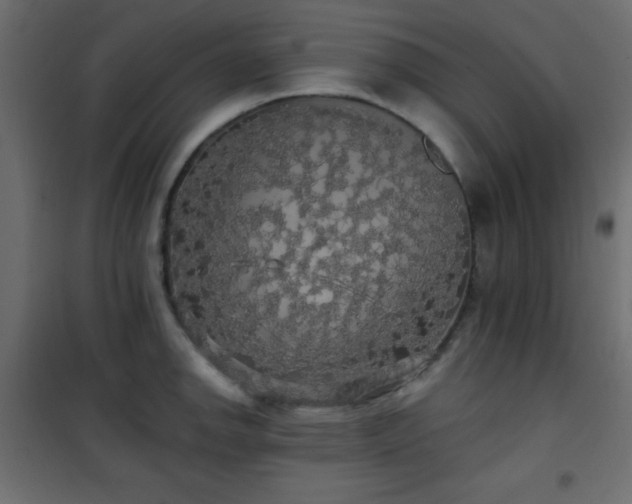 X0000101451142200807071359