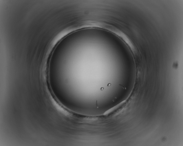X0000101451143200807071359