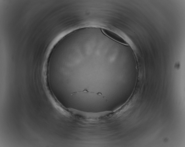 X0000101451144200807071359