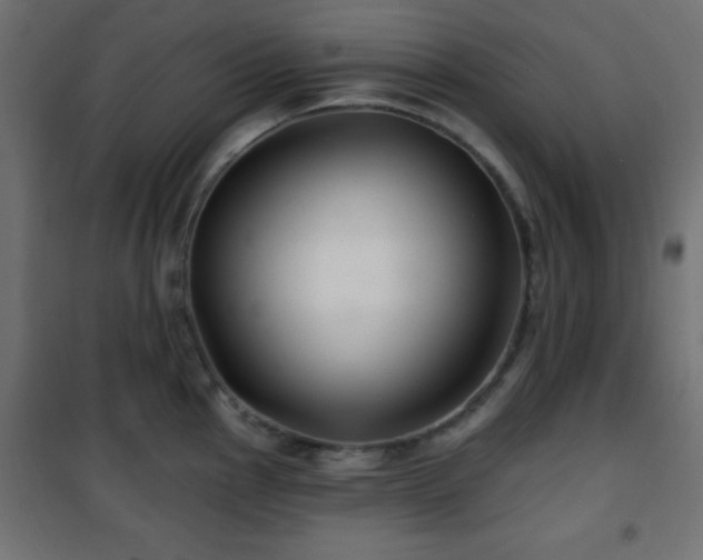 X0000101451145200807071359