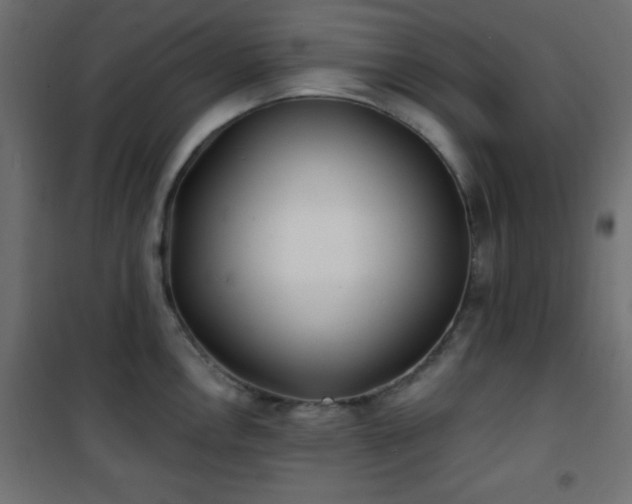X0000101451146200807071359