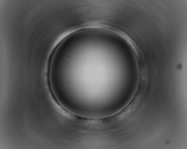 X0000101451147200807071359