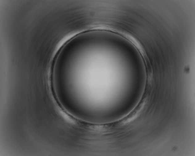 X0000101451149200807071359