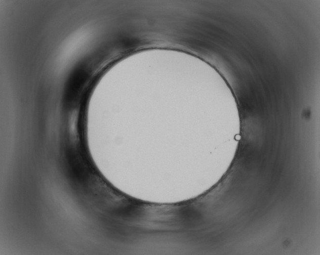 X0000101451150200807071359