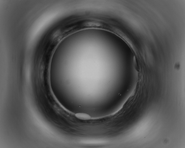 X0000101451151200807071359